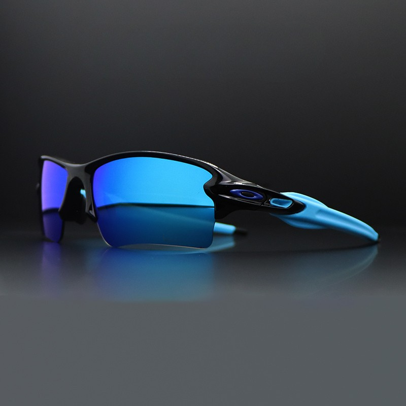 SolarEdge Polarized Shades