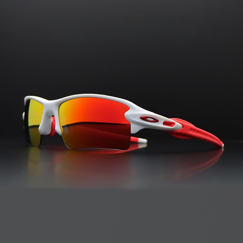 SolarEdge Polarized Shades