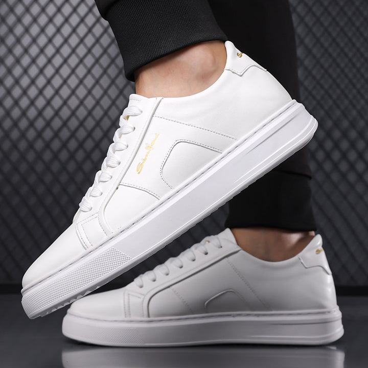 Sam Nova Leather Sneakers