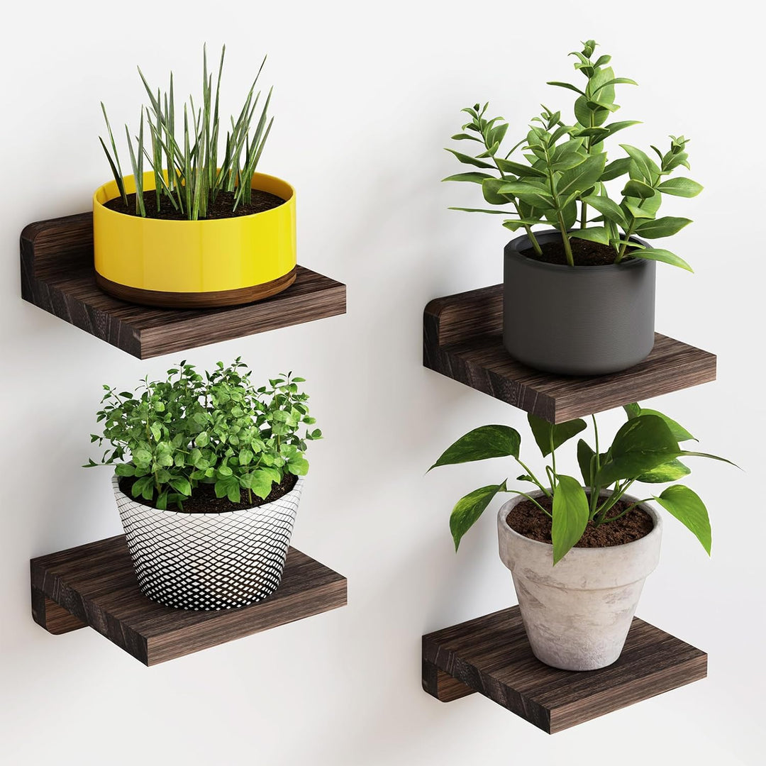 Haven Floating Shelves - Set of 4